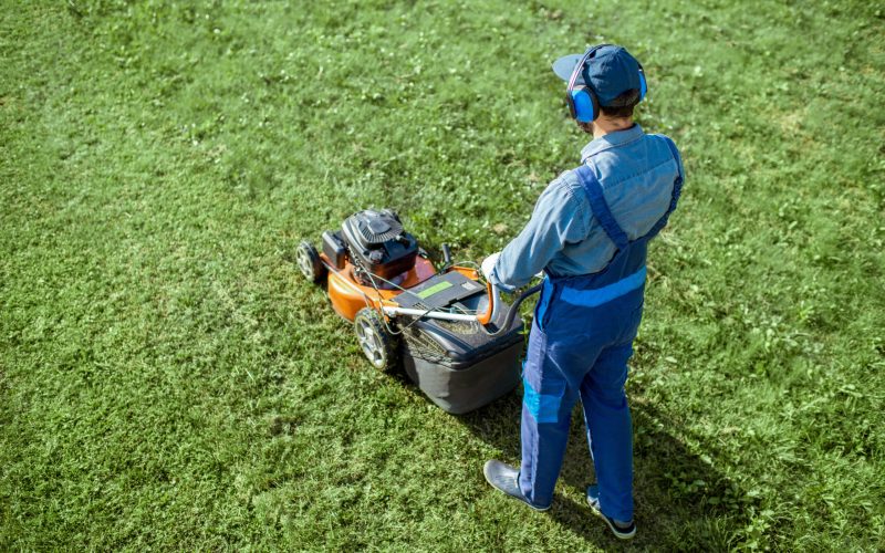 Professional gardener in protective workwear cutting grass with gasoline lawn mower on the backyard, View from above